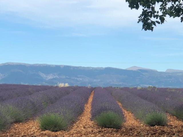 Appartamento Le Petit Saint Clair Trigance Esterno foto